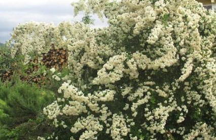 ospitalità rurale la Svizzera 2 - Foto 2