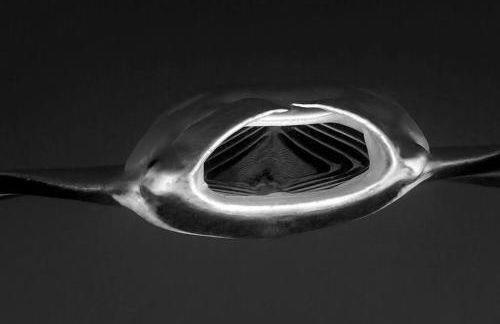 PonoMana Oasis's - Koi Cottage - Foto 60