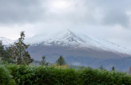 Room with a view - Photo 38