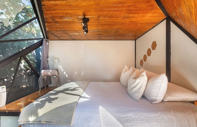 Bosque Geométrico - Foto 21