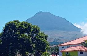 Sunflower Guest House - Madalena - Pico - Photo 39