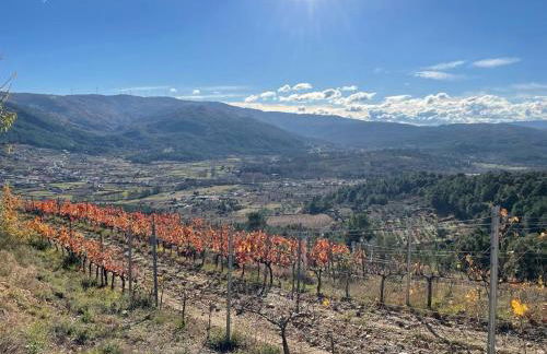 Quinta da Penada - Vineyard & Winery - Suíte 3 - Foto 20