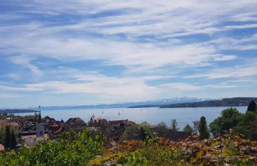 Ferienwohnung-Wald - Foto 44