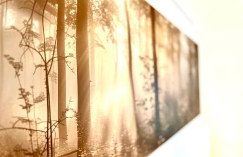 Gemütliches Alpenblick BERG-Bungalow + großer GARTEN + NETFLIX! - Foto 9