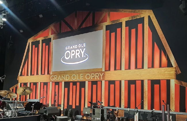 114 The Opry Mills House - Foto 39