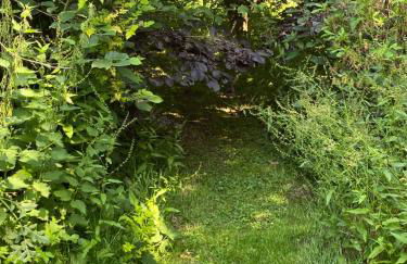 Barnacle Barn, North Norfolk - Foto 53