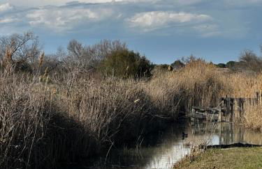 Mas des Oliviers, maison avec piscine privative et chauffée, 3 animaux acceptés LOCAMARGUE - Foto 43