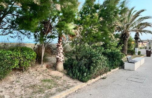 la casetta tra laguna e mare Poetto - Foto 65