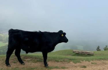 The Snug in Cheltenham, Leckhampton - A Cosy & Unique Space - Photo 26