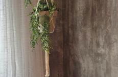 Zen Den Studio - Foto 16