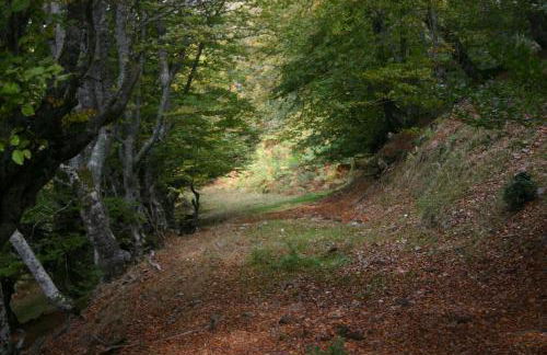 Apartamentos Javier - Foto 111