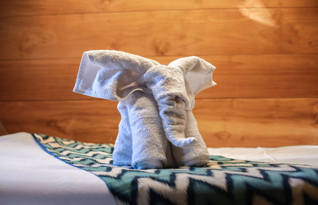 Tanaka Liveaboard - Foto 22