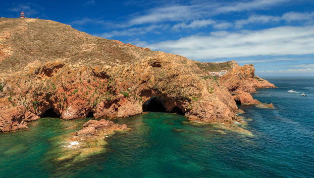 Excursión a las Islas Berlengas y sus cuevas - Foto 4