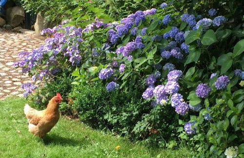 Hoheluft am Wittensee Apt 1 - Foto 25