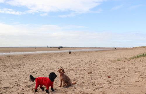 Ismay Dining Room Suite - Titanic Interest - Foto 40