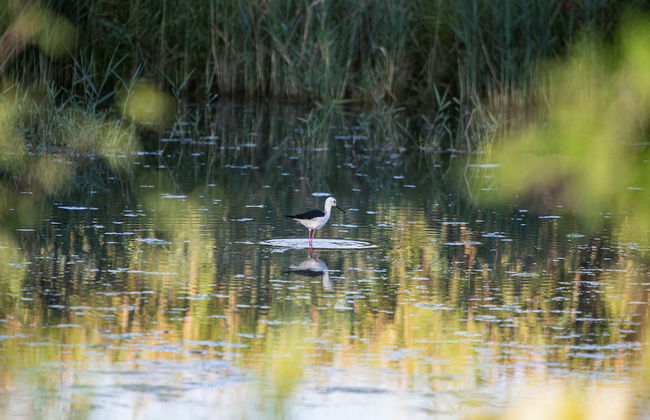 Agriturismo Ai Due Leoni - Foto 64