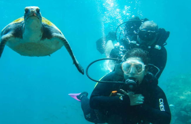 Arraial do Cabo Diving Introduction - Photo 2