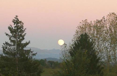 La appartement des rosiers - Photo 27