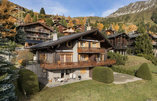 Orchidée 111 - Foto 1