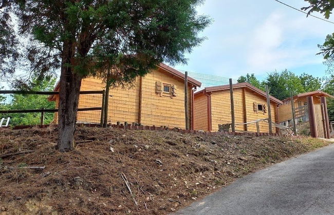 Mimosa Village - Foto 49