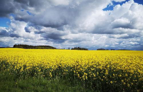 Familienfreundliches Ferienhaus Salzhaff-Urlaub - Foto 42