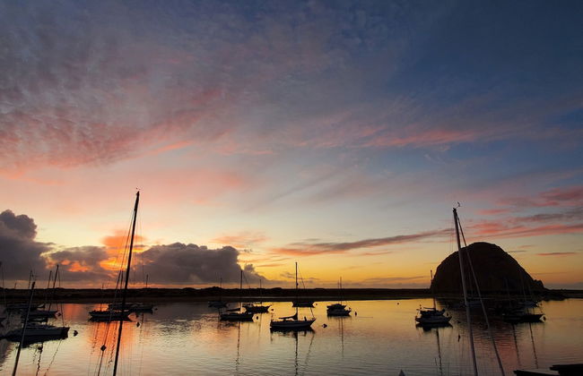 Gray's Inn & Gallery - Foto 49