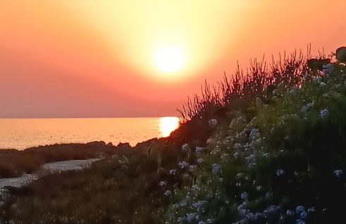 Casa Sandalo - Foto 25