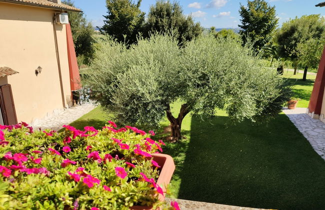 Agriturismo Zugarelli - Foto 54