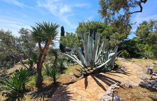 Orkula Hidden Paradise- Robinson Holiday House - Foto 24