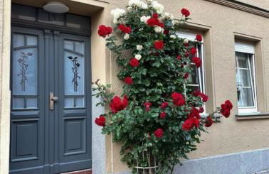 Jethons Appartement in der Gasse 2 - Foto 19