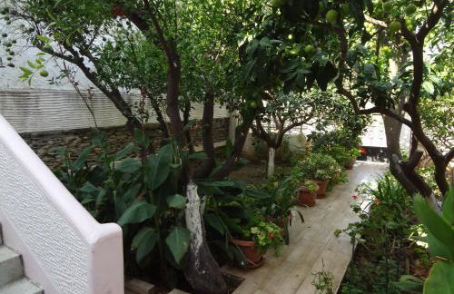 Cozy Citrus Garden House by the Seaside. - Photo 6