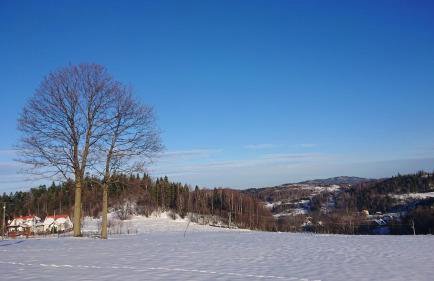 Apartamenty Widokowa Korbielów - Foto 50