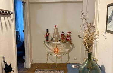 La Villa Louana 1 Appartement 160m2 sobriété,élégance en cœur de ville - Foto 25