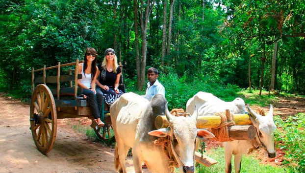 A spasso su un carro trainato da buoi