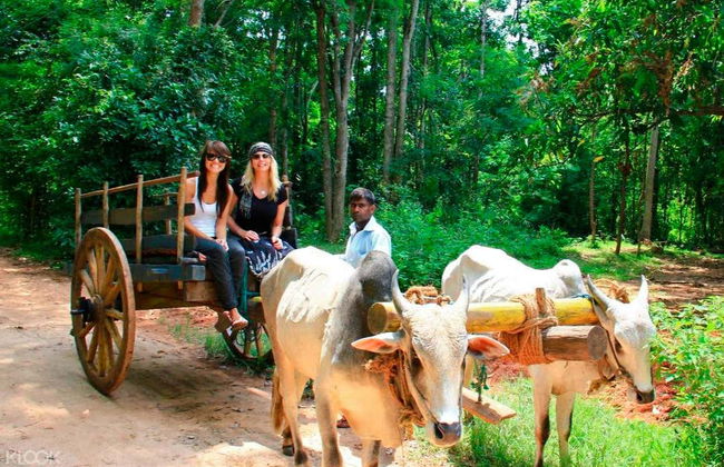Excursión a Habarana - Foto 3