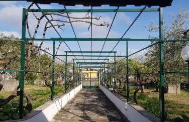 Casa dei Gigli relax and vacation among flowers and fruits - Foto 23