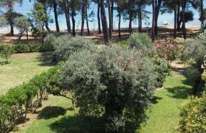 Nisteri Seaside - Photo 33