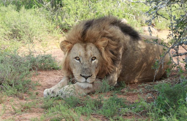 Uplands Homestead - Photo 18