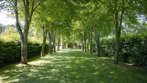 The Manor Dairy - Foto 5, Garden