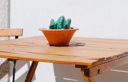 Quinta de Fiães - Photo 66