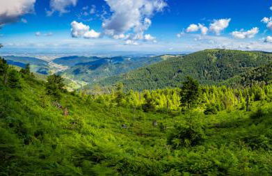 Tannenduft Freudenstadt - Foto 15