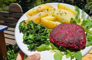 Nature Sanctuary, a semi-detached house on an ecological & sustainable farm - Foto 36