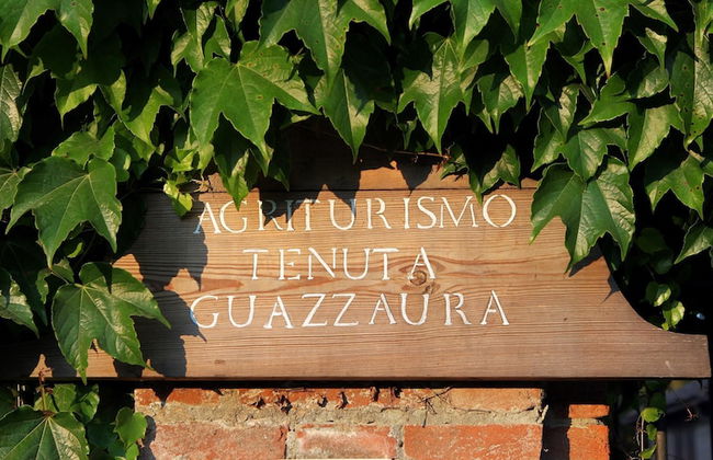 Tenuta Guazzaura - Photo 9