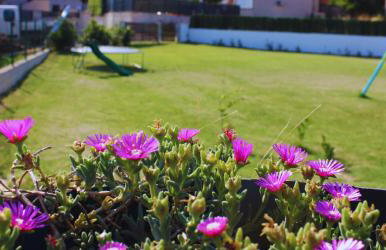 Villa ElFi - Photo 5