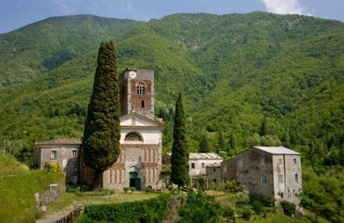 IL Bosco di Campo Marzano Sunlight - Foto 50