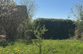 Ferienhaus Alpenblick - Foto 13