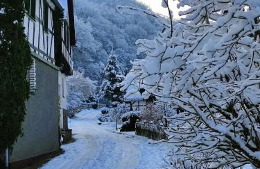 Ferienwohnung 'Unter der Burg' - Foto 14