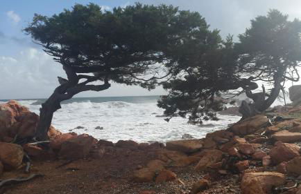 Da nonna Assunta - Foto 13