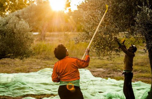 Casa de diseño con gran terraza - Foto 47