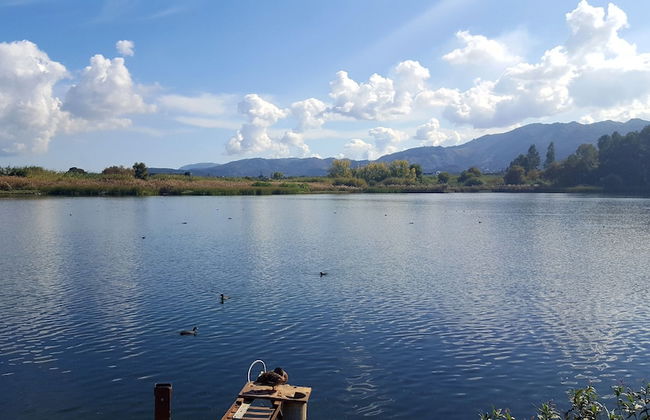 Physis Villas - Photo 80